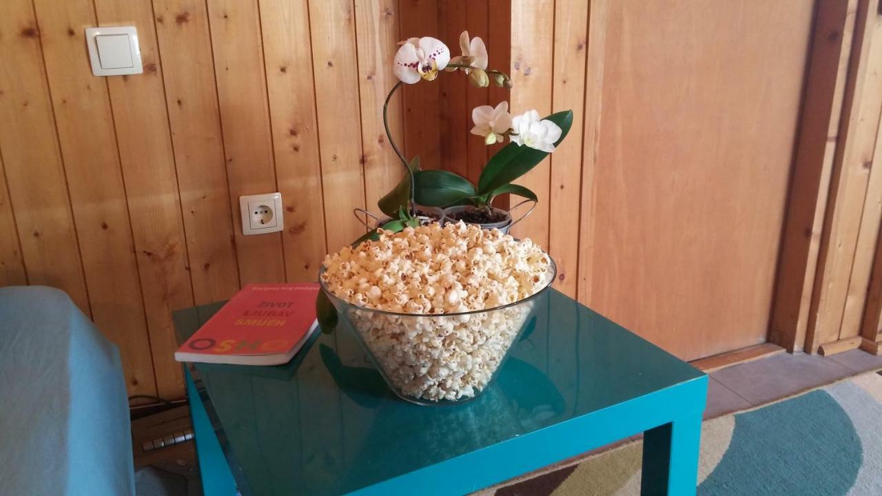 Apartman Joy Nin Buitenkant foto